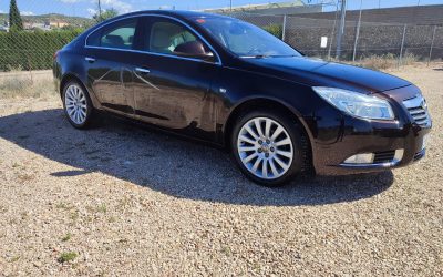 Opel Insignia 2.0 Cdti (2)