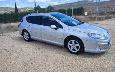 Peugeot 407sw (3)